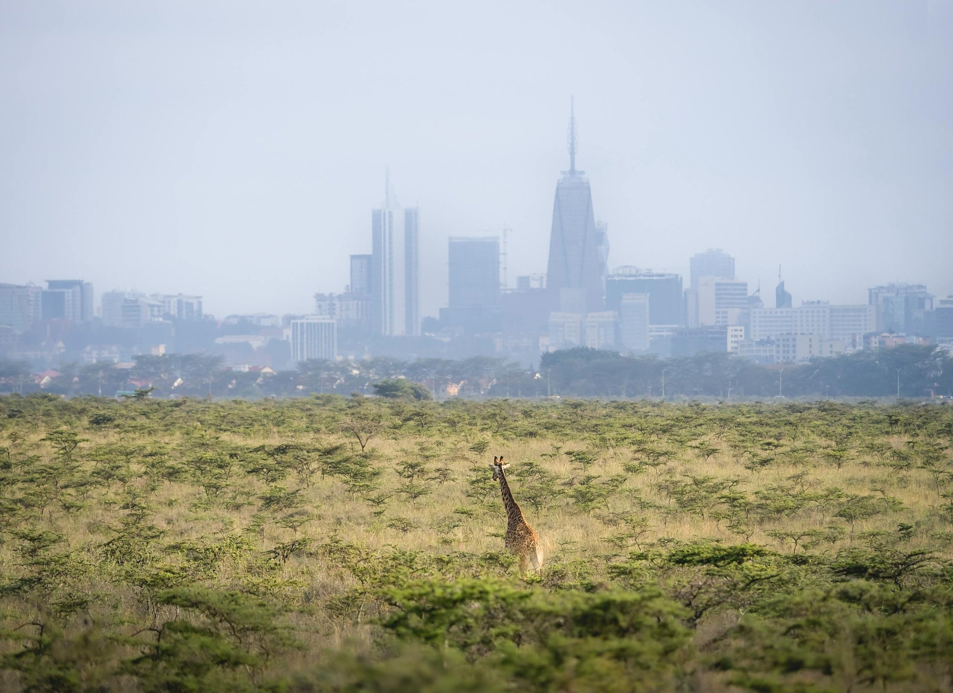 Nairobi Luxury Overnight Stay