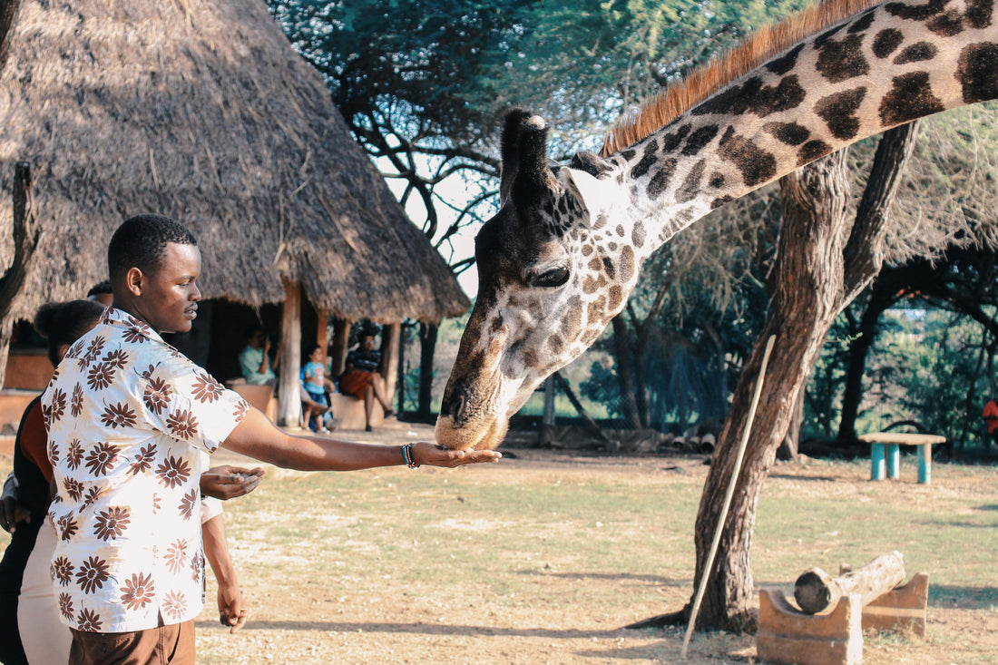 How Much Does a Luxury Safari in Kenya Cost?
