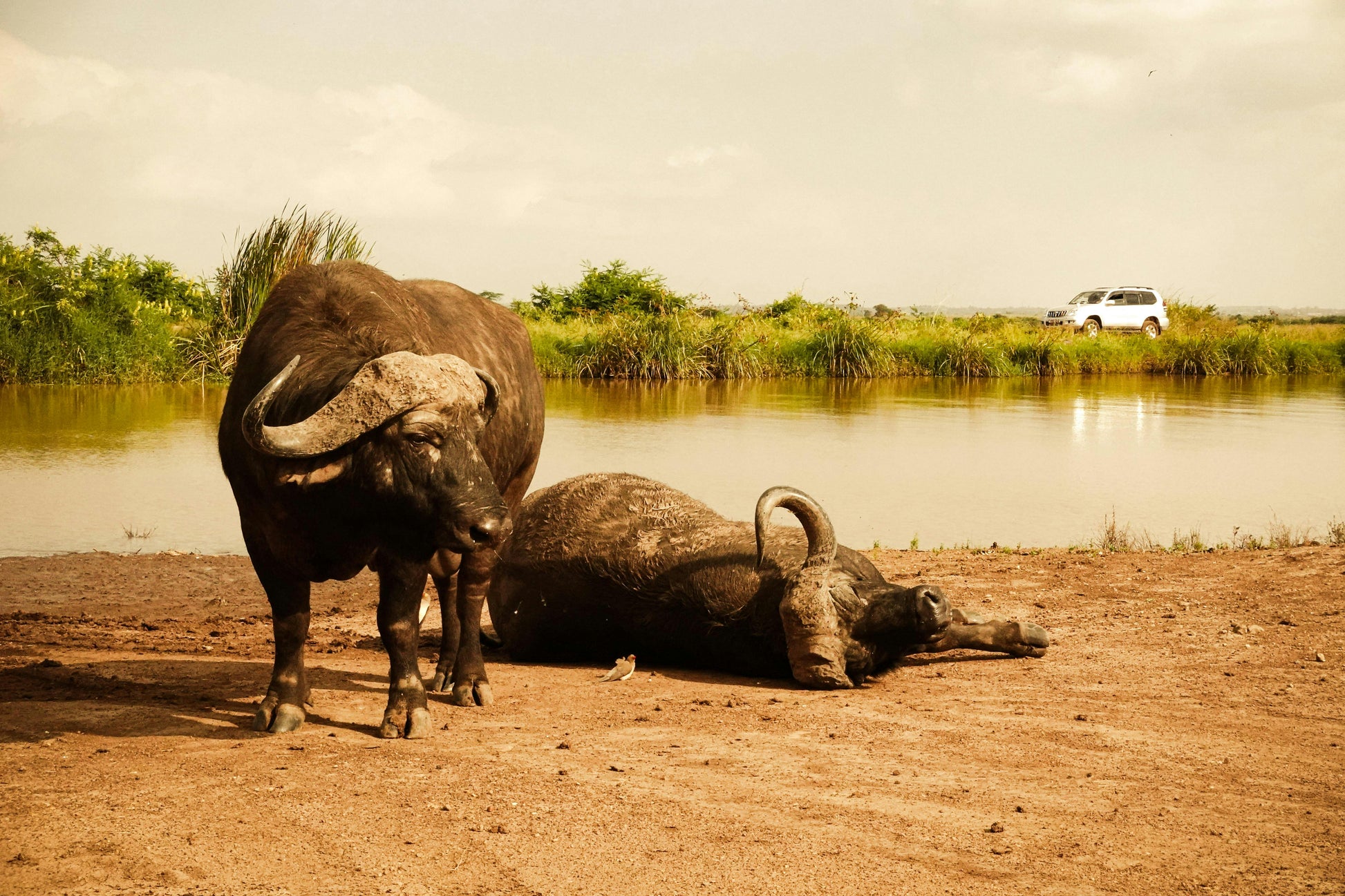 Nairobi Luxury Overnight Stay