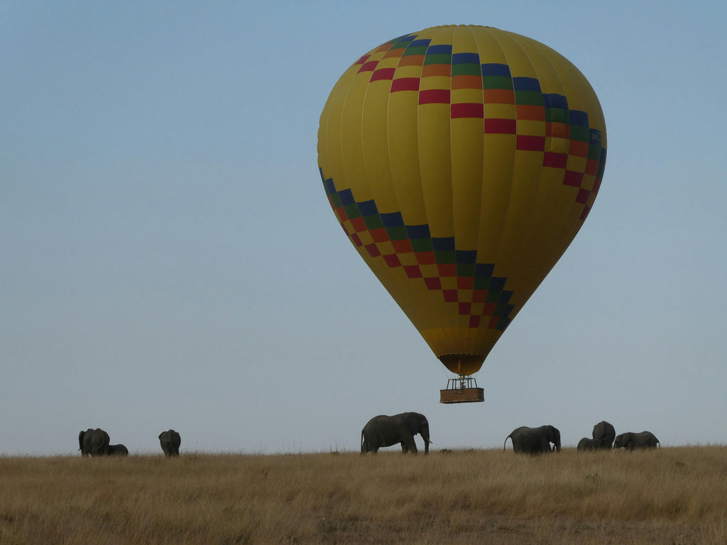 Hot Air Balloon Safari