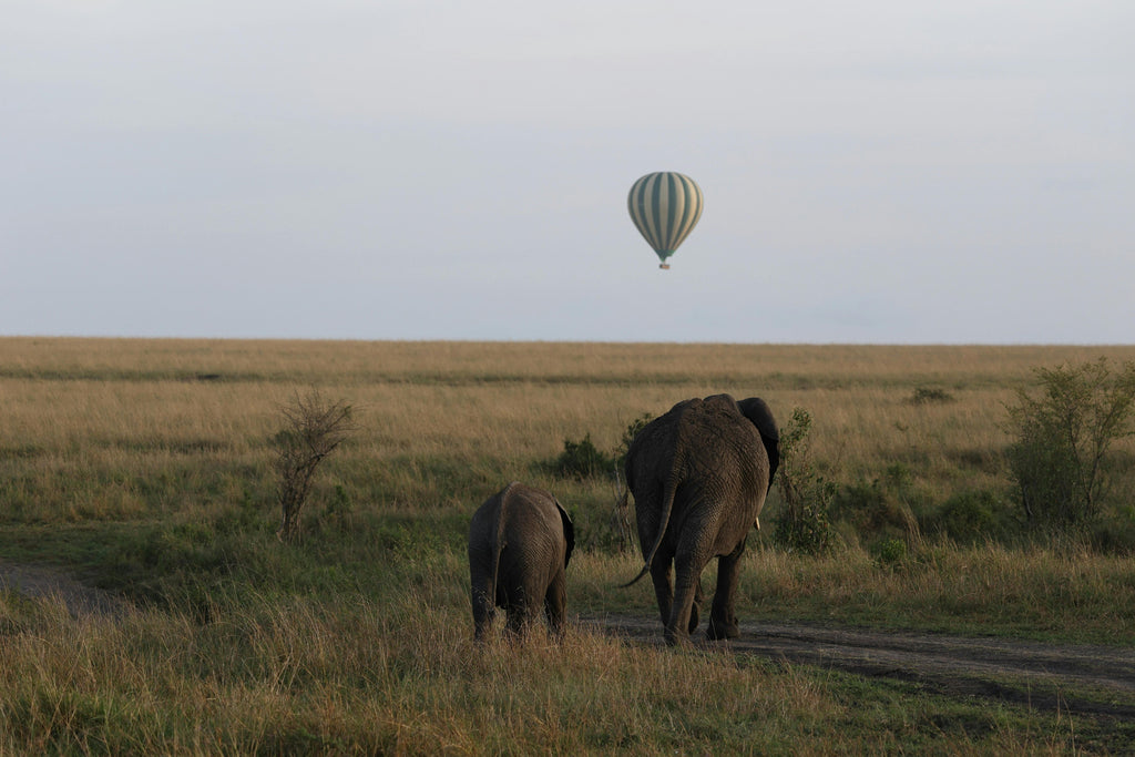 Hot Air Balloon Safari